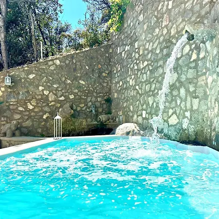 Evelyns Pool Garden *